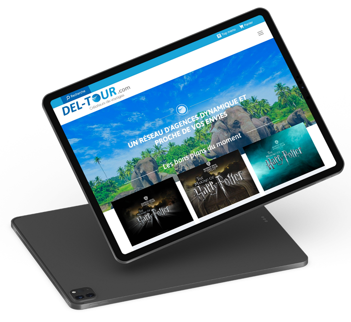 Site internet de Del-Tour designé par l'agence création de site Poush