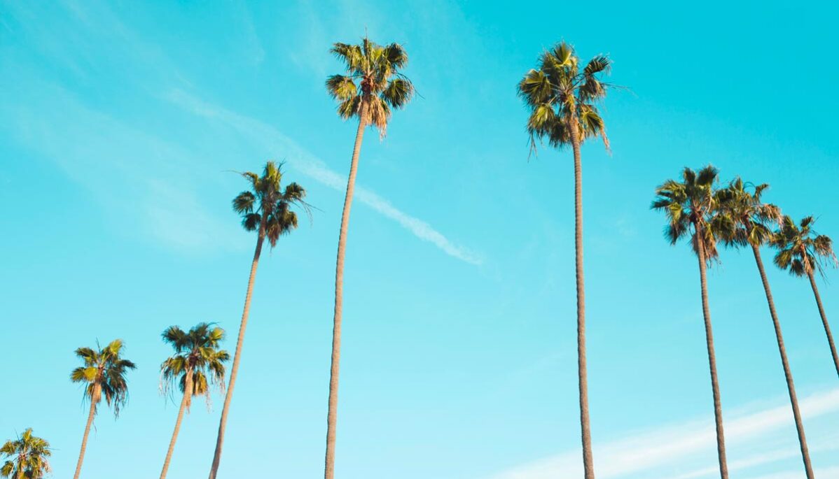 Agence de communication digitale: communiquer en été