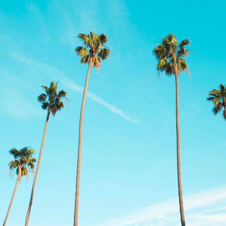 Agence de communication digitale: communiquer en été