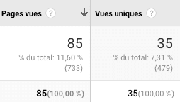 les sessions, différence pages vues et vues uniques - conseils en communication