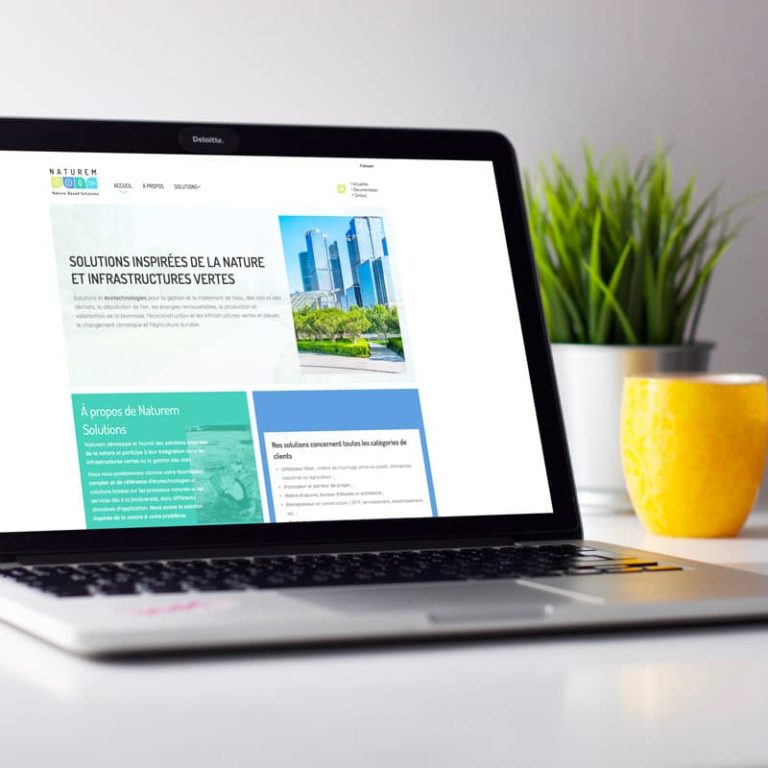 Création site internet Naturem Solutions