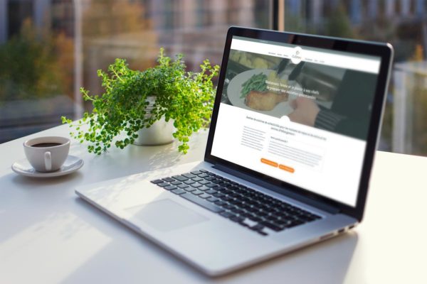 Site internet vitrine Culinoa