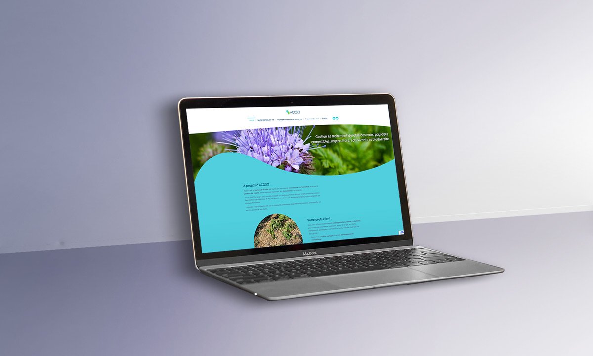 Site web Acoso