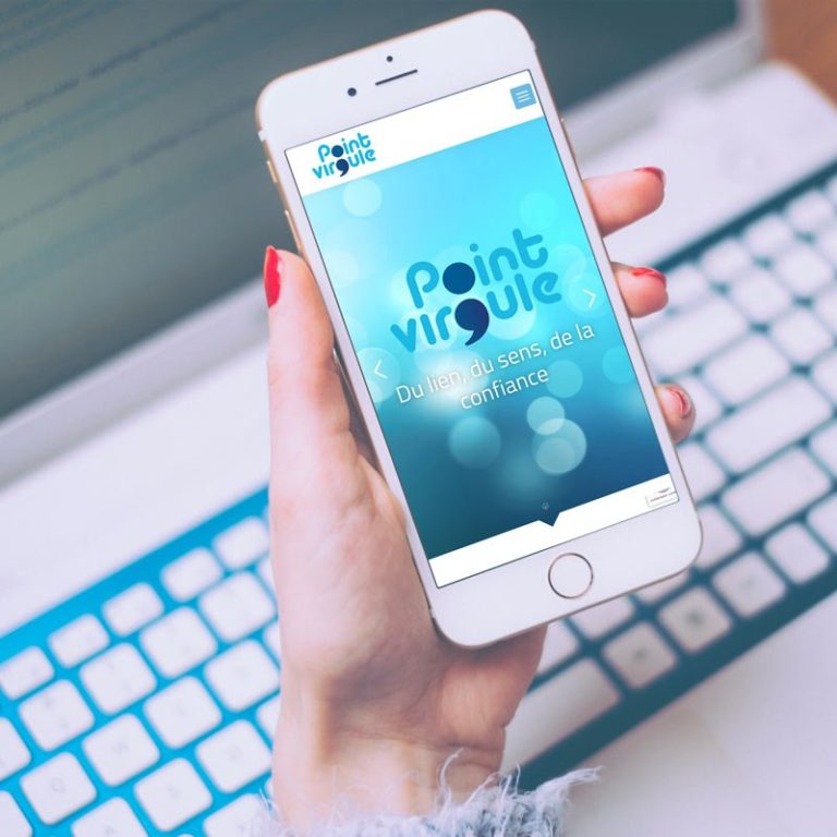 Site internet Point Virgule