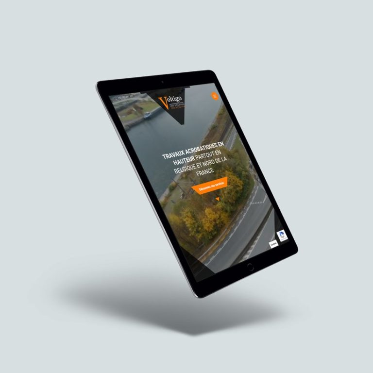 Site web de Voltigo