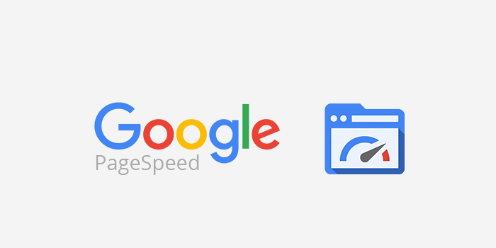 Logo outil SEO Google Page Speed Insight
