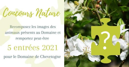 Concours puzzle nature du Domaine de Chevetogne sur Facebook