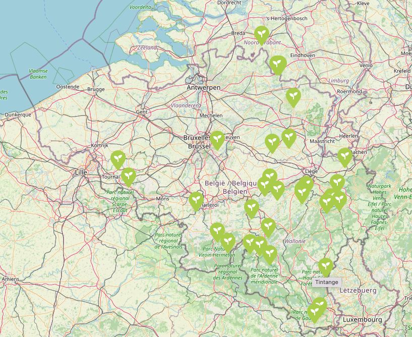 Carte interactive Belgique de Trees for future