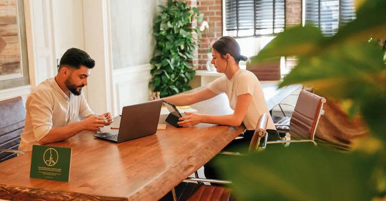 Collègues travaillant dans un bureau respectueux de l'environnement