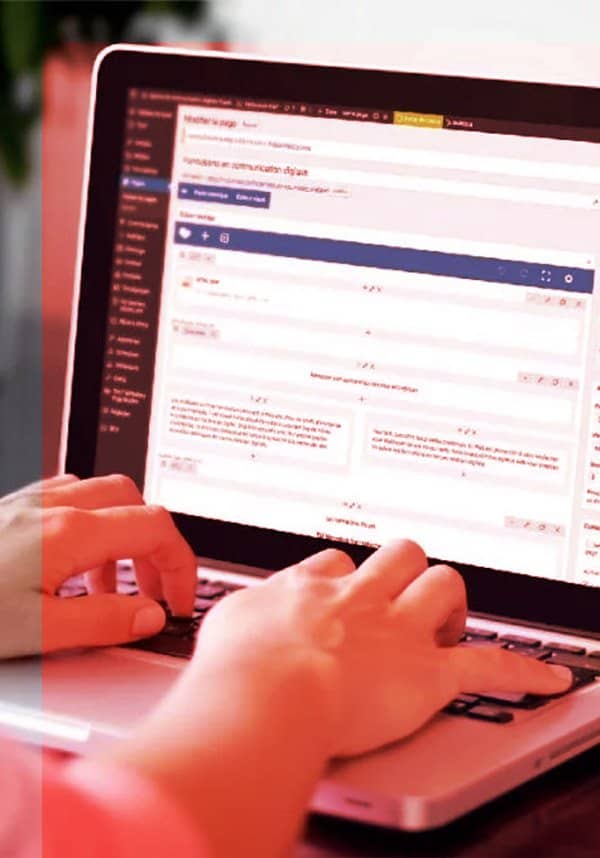 travail sur le cms wordpress
