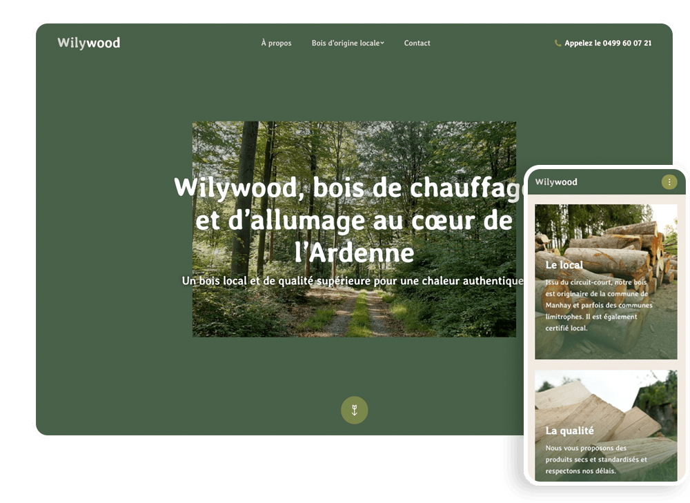 apercu du site web de Willywood, réalisé par l'agence Poush