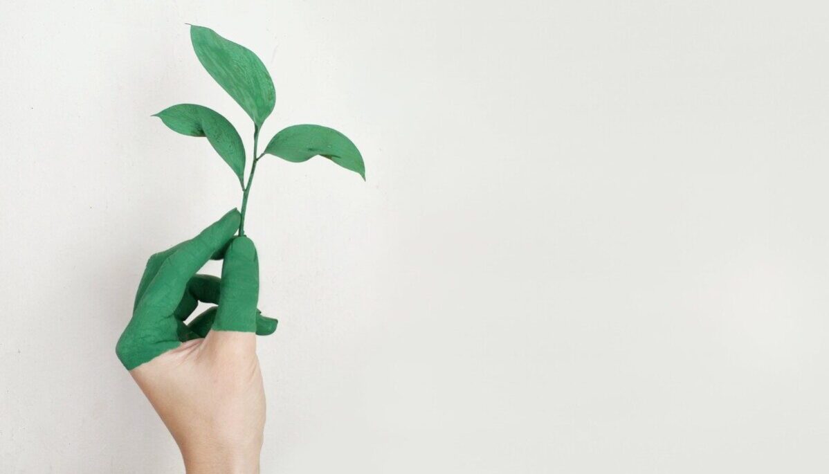 Main peinte en vert qui tient une plante verte