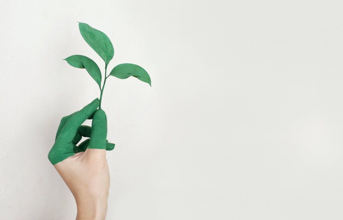 Main peinte en vert qui tient une plante verte