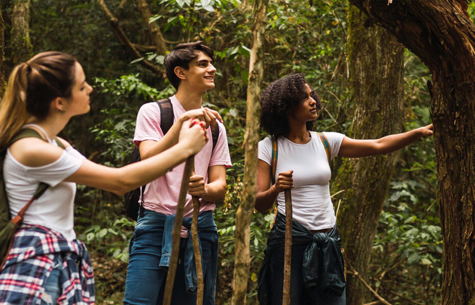 teambuilding en foret pour comprendre son écosystème