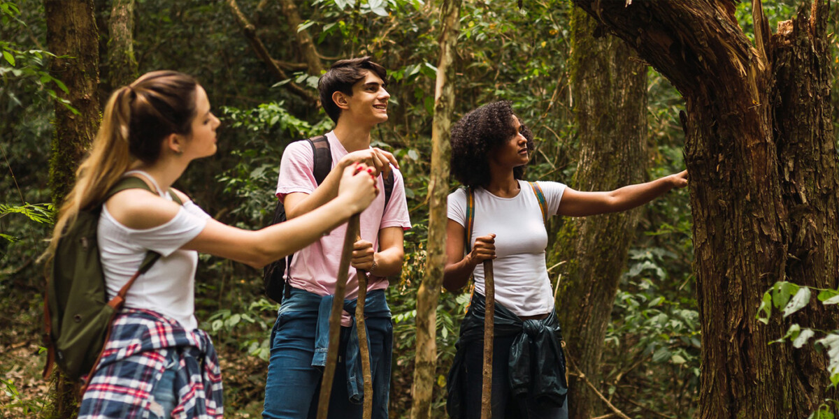 teambuilding en foret pour comprendre son écosystème