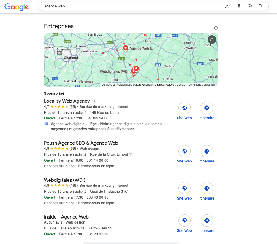 Google Business profile Apparition de la fiche Google Business Profile de Poush pour le référencement local